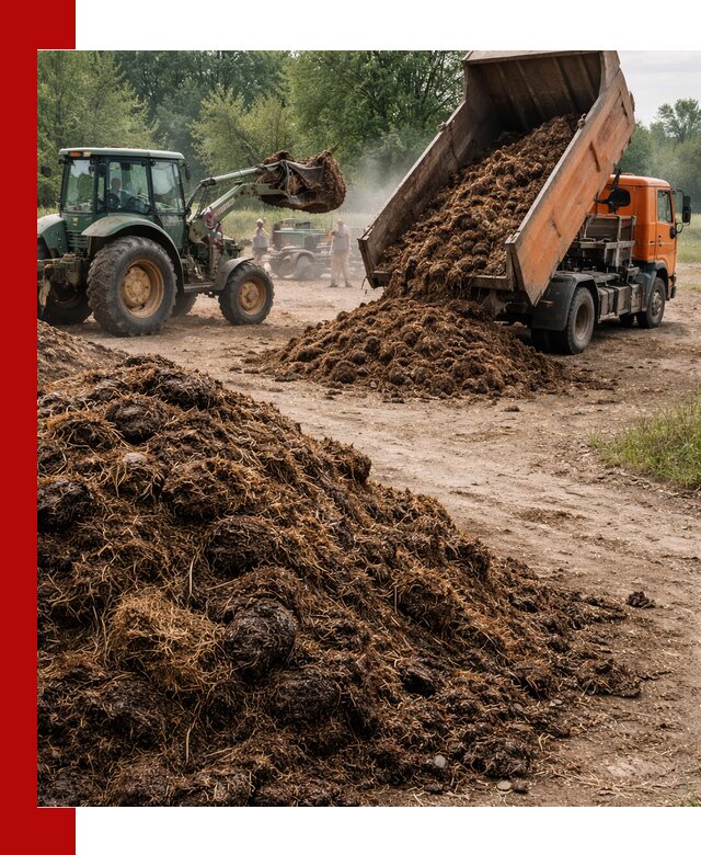 Доставка навоза самосвалами в Нижнеудинске для сельхозпотребностей